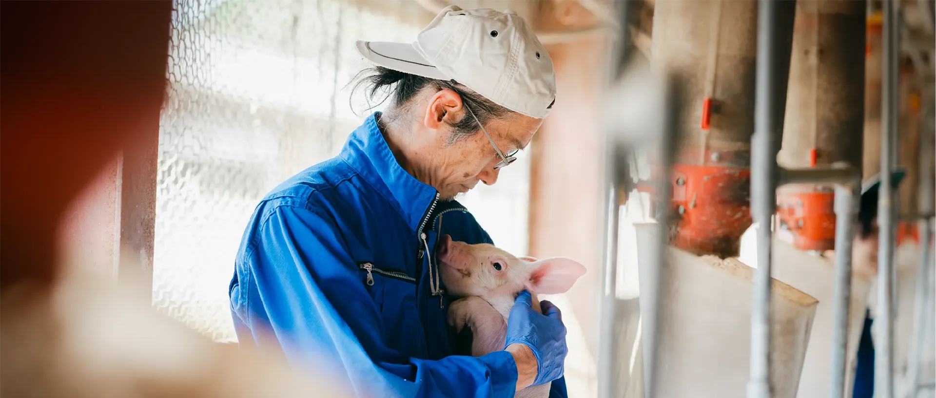 子豚を抱く生産者