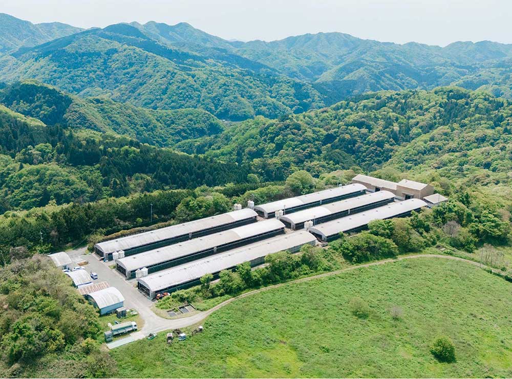 江の川